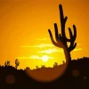 Cactus At Sunset Diamond Painting
