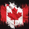 Canadian Flag Art Diamond Painting