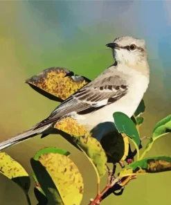 Mockingbird Diamond Painting