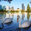 Oralando Florida Lake Eola Diamond Painting