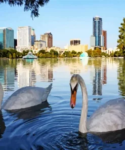 Oralando Florida Lake Eola Diamond Painting