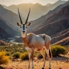 Wild Oryx Bull Diamond Painting