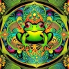 Abstract Frog Mandala Diamond Painting