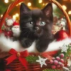 Black Funny Christmas Cat Diamond Painting
