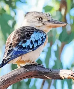 Blue Winged Kookaburra Diamond Painting