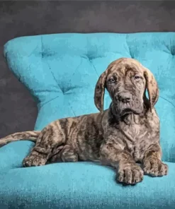 Brindle Dane Puppy Diamond Painting