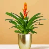 Bromeliad Pot Diamond Painting