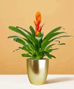 Bromeliad Pot Diamond Painting