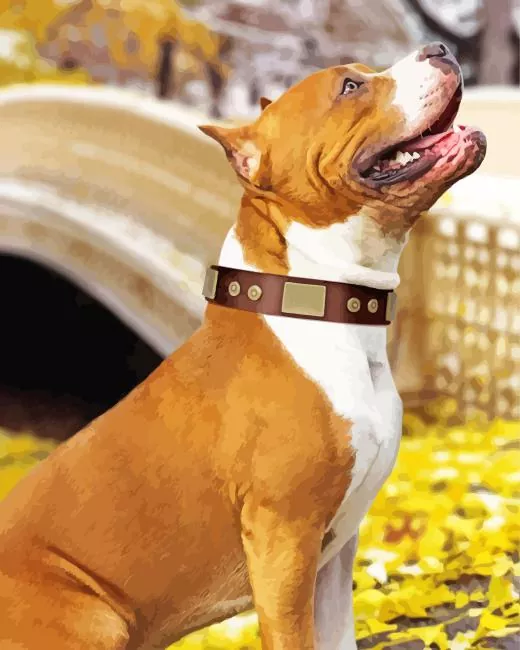 brown amstaff dog Diamond With Numbers Brown Amstaff Dog Diamond Painting