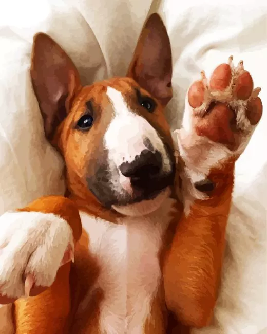 brown and white english bull terrier Diamond With Numbers Brown And White English Bull Terrier Diamond Painting