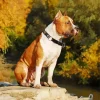 Brown And White Staffordshire Bull Terrier Diamond Painting