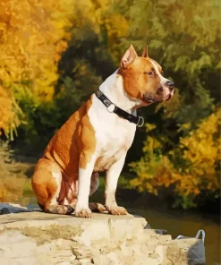 Brown And White Staffordshire Bull Terrier Diamond Painting