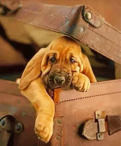 Brown Bloodhound Puppy Diamond Painting
