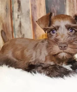 Brown Mini Schnauzer Diamond Painting