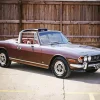 Brown Triumph Stag Diamond Painting