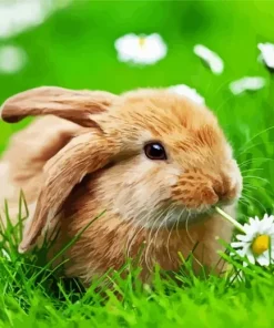 Bunny And Flower Diamond Painting