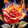 Burning Flower Diamond Painting
