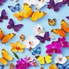 Yellow Butterflies And Orchids Diamond Painting