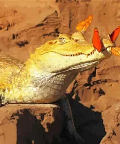 Butterflies On Alligator Diamond Painting