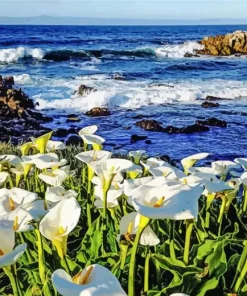 Calla Lily Valley Beachside Diamond Painting