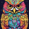Colorful Owl Bird Diamond Painting