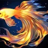 Fighter Goldfish Art Diamond Painting