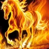 Flames Horse Art Diamond Painting