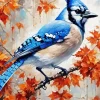 Florida Blue Jay Diamond Painting