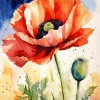 Flowers Poppy Diamond Painting