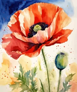 Flowers Poppy Diamond Painting