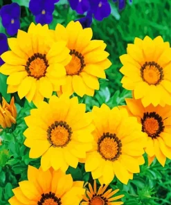 Gazania Big Kiss Yellow Art Diamond Painting