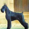 Giant Schnauzer Dog Diamond Painting