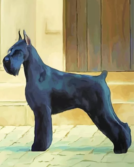 giant schnauzer dog Diamond By Numbers Giant Schnauzer Dog Diamond Painting