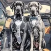 Grey Great Dane Art Diamond Painting