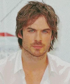 Ian Somerhalder Diamond Painting