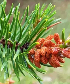 Jack Pine Plant Diamond Painting