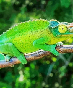 Jacksons Chameleon Diamond Painting