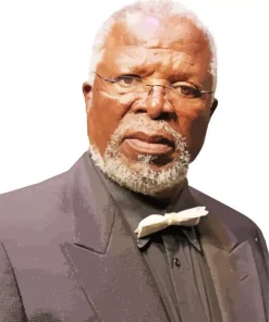 John Kani Diamond Painting