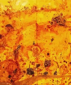 John Olsen Diamond Painting