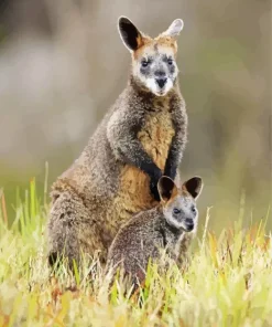 Kangaroo And Baby Diamond Painting