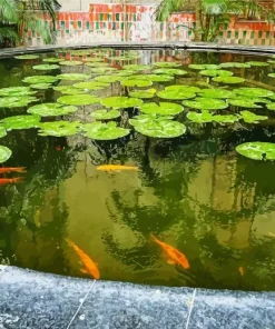 Koi Fishes Pond Diamond Painting