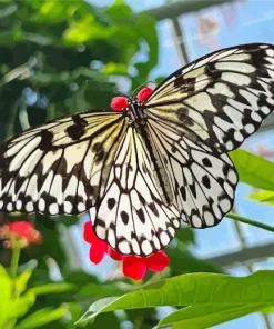 Large Tree Nymph Diamond Painting