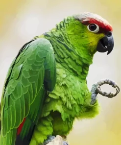 Lilacine Amazon Bird Diamond Painting