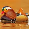 Mandarin Duck Diamond Painting