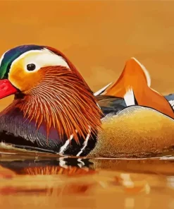 Mandarin Duck Diamond Painting