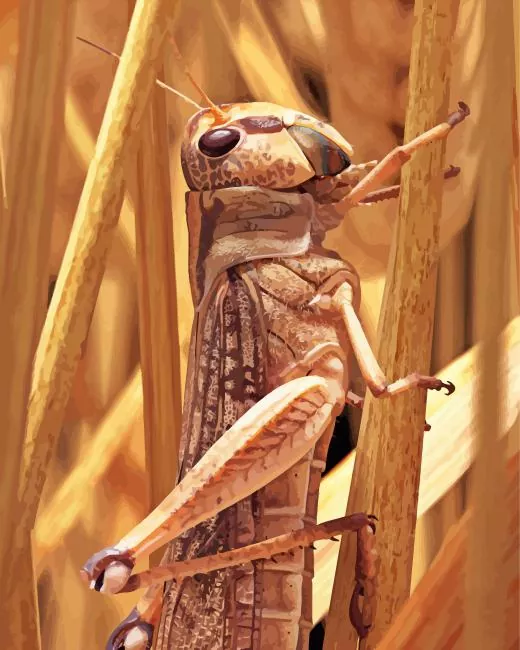 migratory locust Diamond Paintings Migratory Locust Diamond Painting