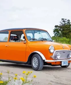 Orange Austin Mini Diamond Painting