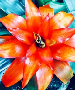 Orange Bromeliad Plant Diamond Painting
