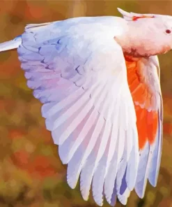 Pink Cockatoo Bird Diamond Painting