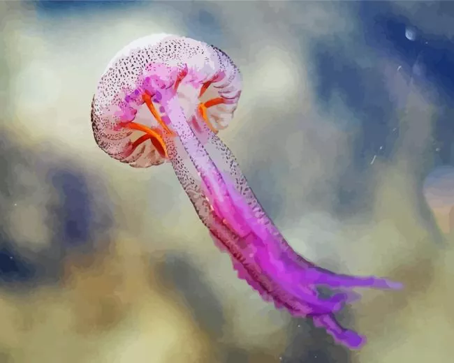 pink jellyfish Diamond Paintings Pink Jellyfish Diamond Painting